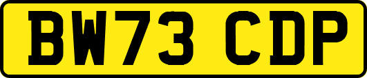BW73CDP