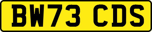 BW73CDS