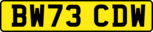 BW73CDW