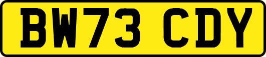 BW73CDY