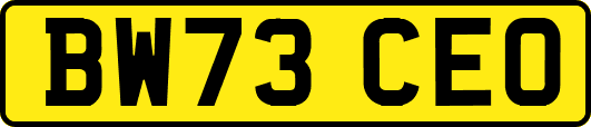 BW73CEO