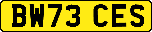 BW73CES