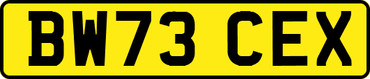 BW73CEX