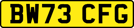 BW73CFG