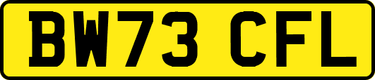 BW73CFL
