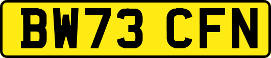 BW73CFN