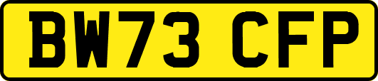 BW73CFP