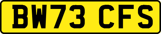 BW73CFS