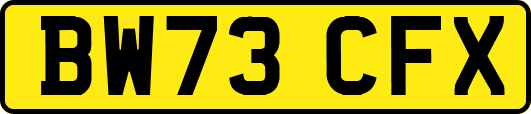 BW73CFX