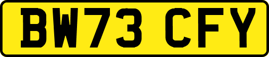 BW73CFY