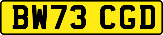 BW73CGD