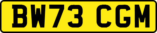 BW73CGM