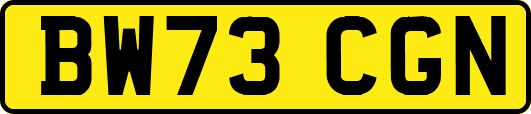 BW73CGN