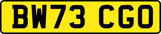 BW73CGO