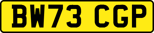 BW73CGP