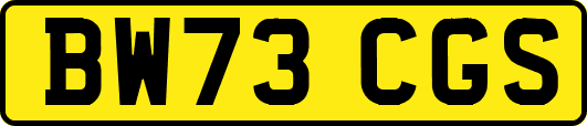 BW73CGS