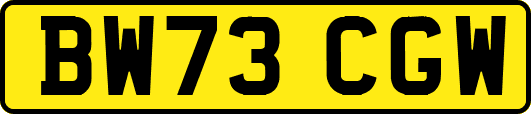 BW73CGW