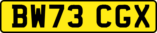 BW73CGX