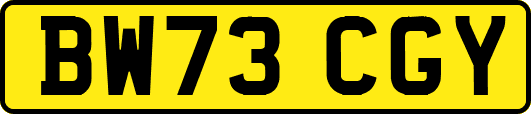 BW73CGY
