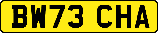 BW73CHA