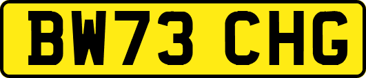 BW73CHG