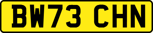 BW73CHN