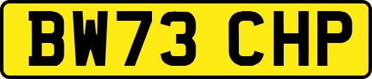 BW73CHP