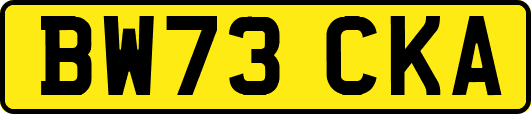 BW73CKA