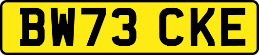 BW73CKE