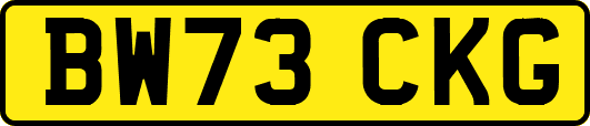 BW73CKG