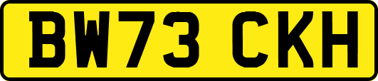 BW73CKH