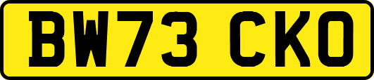 BW73CKO