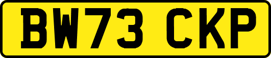 BW73CKP