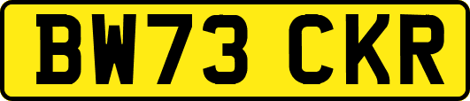 BW73CKR