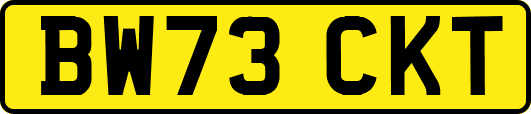 BW73CKT
