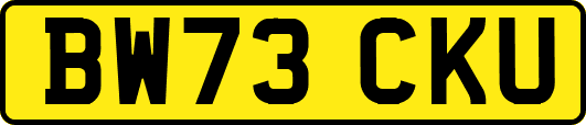 BW73CKU