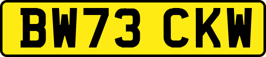 BW73CKW