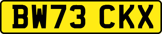 BW73CKX