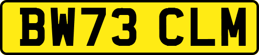 BW73CLM