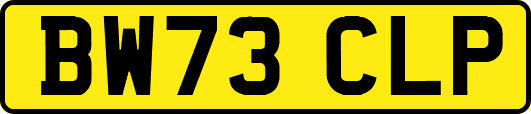BW73CLP
