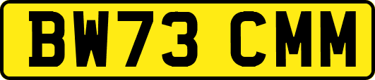 BW73CMM
