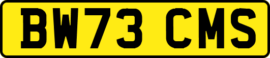 BW73CMS