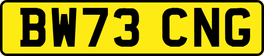 BW73CNG