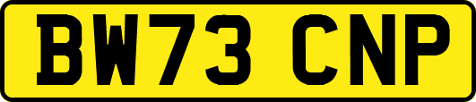 BW73CNP