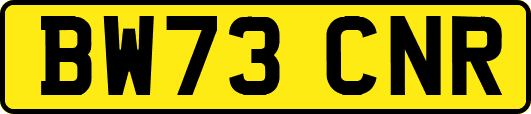 BW73CNR