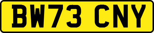 BW73CNY
