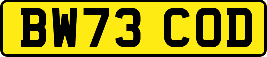 BW73COD