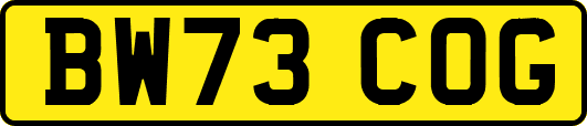 BW73COG