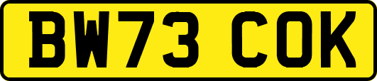 BW73COK