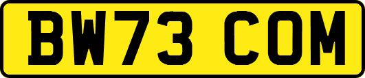 BW73COM